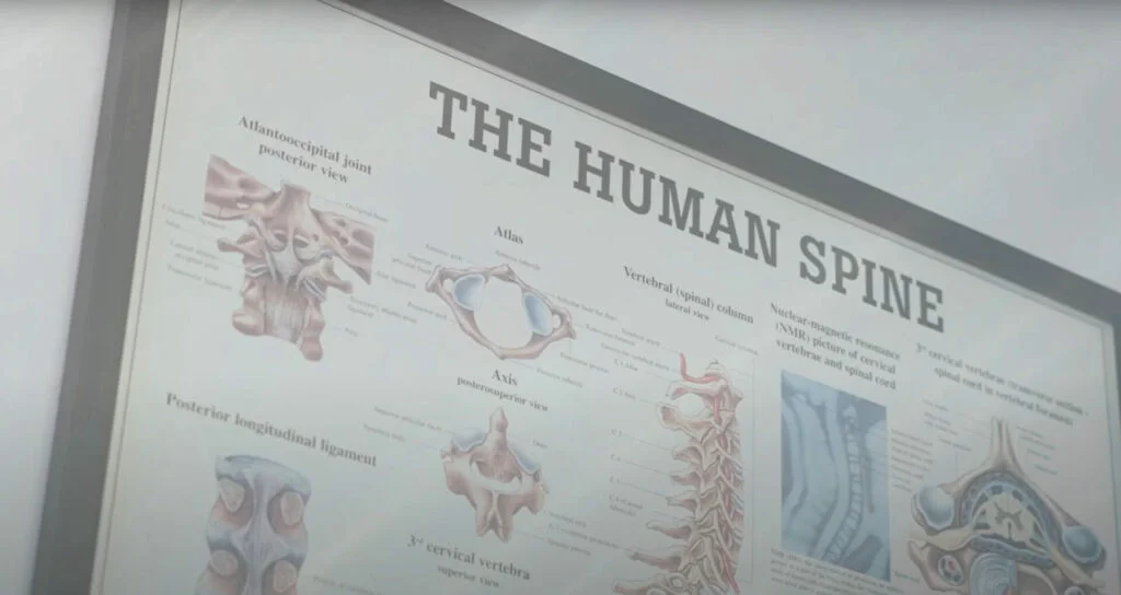 Udsnit af plakat i ramme, med overskriften "the human spine" og illustrationer af ryganatomi