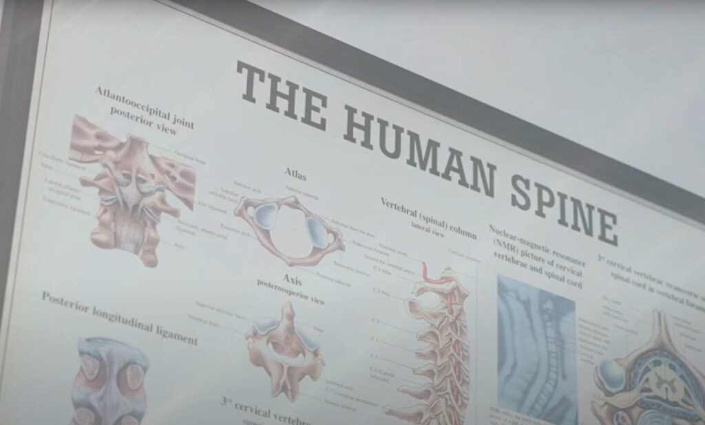 Specialer 21 Udsnit af plakat i ramme, med overskriften "the human spine" og illustrationer af ryganatomi